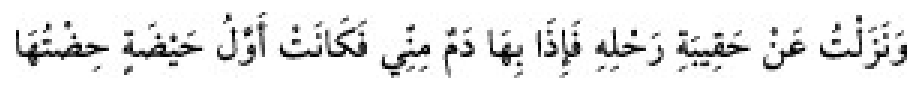 Texto árabe del hadiz de Sunan Abu Dawud