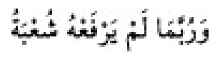 Texto árabe del hadiz de Sunan Abū Dāwūd