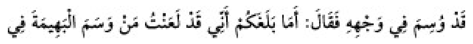 Texto árabe del hadiz de Sunan Abū Dāwūd