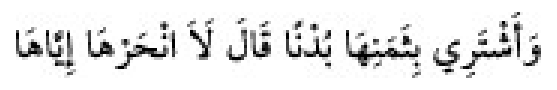 Sünen-i Ebû Dâvûd Arapça hadis metni