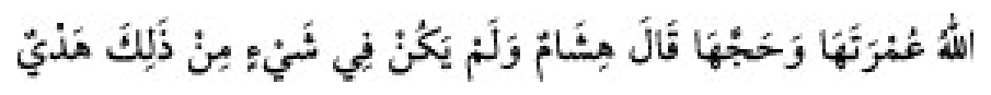 Texto árabe del hadiz de Sunan Abu Dawud