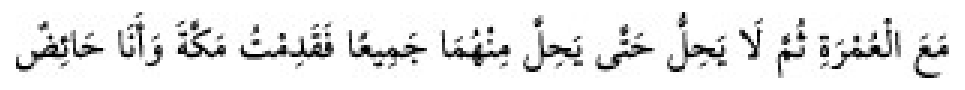 Texto árabe del hadiz de Sunan Abu Dawud