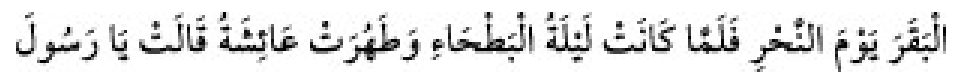 Texto árabe del hadiz de Sunan Abu Dawud