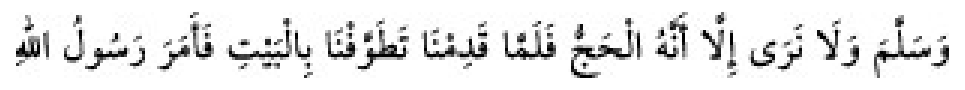 Texto árabe del hadiz de Sunan Abu Dawud