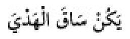 Texto árabe del hadiz de Sunan Abu Dawud