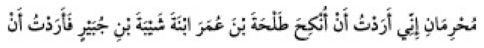 Texto árabe del hadiz de Sunan Abu Dawud