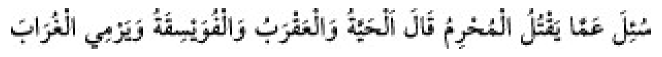Texto árabe del hadiz de Sunan Abū Dāwūd