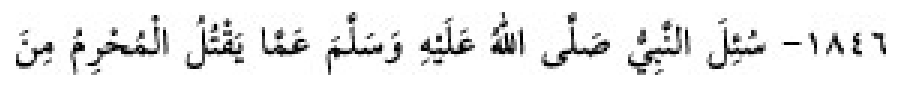 Texto árabe del hadiz de Sunan Abū Dāwūd