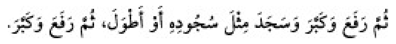 Sünen-i Ebû Dâvûd Arabic hadith text