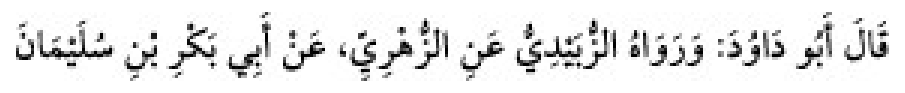 Sünen-i Ebû Dâvûd Arabic hadith text