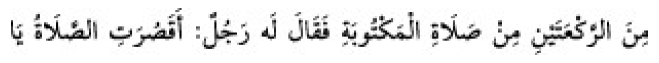 Sünen-i Ebû Dâvûd Arabic hadith text