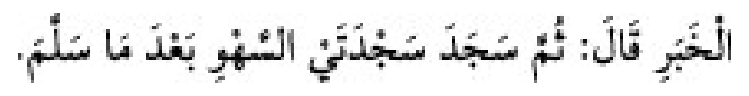 Sünen-i Ebû Dâvûd Arabic hadith text