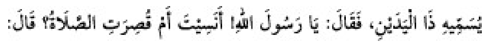 Sünen-i Ebû Dâvûd Arabic hadith text