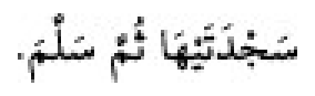 Sünen-i Ebû Dâvûd Arabic hadith text