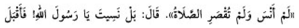 Sünen-i Ebû Dâvûd Arabic hadith text