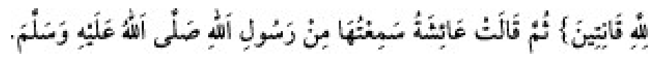 Texto árabe del hadiz de Sunan Abū Dāwūd