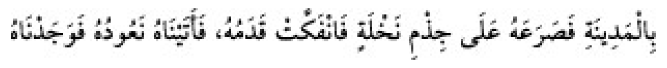 Sünen-i Ebû Dâvûd Arapça hadis metni