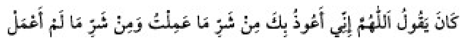 Texto árabe del hadiz de Sunen-i Ebû Dâvûd