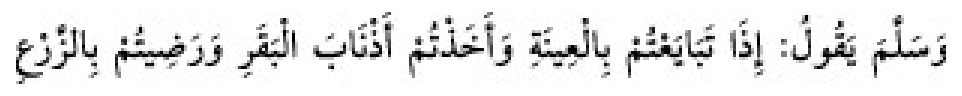 Texto árabe del hadiz de Sunan Abū Dāwūd