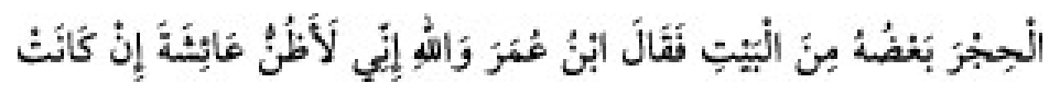Texto árabe del hadiz de Sunan Abū Dāwūd