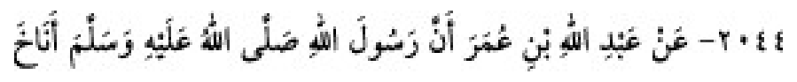 Sünen-i Ebû Dâvûd Arapça hadis metni
