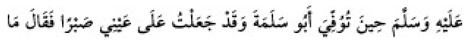 Texto árabe del hadiz de Sunan Abū Dāwūd