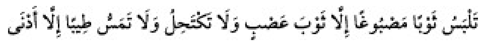 Texto árabe del hadiz de Sunan Abū Dāwūd