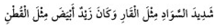 Sunan Abu Dāwūd Arabic hadith text