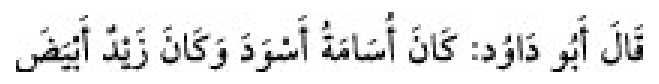 Sunan Abu Dāwūd Arabic hadith text