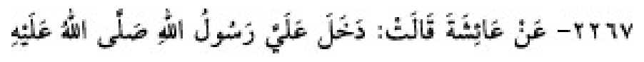 Sunan Abu Dāwūd Arabic hadith text