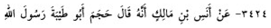 Sünen-i Ebû Dâvûd Arapça hadis metni