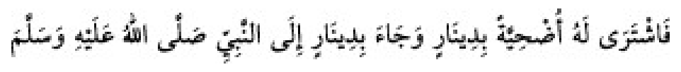 Sünen-i Ebû Dâvûd Arapça hadis metni
