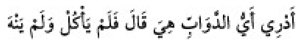 Texto árabe del hadiz de Sunan Abū Dāwūd