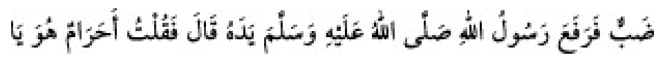 Texto árabe del hadiz de Sunan Abū Dāwūd