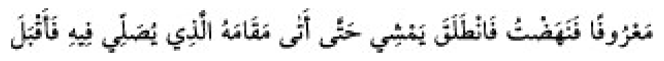Texto árabe del hadiz de Sunan Abu Dawud