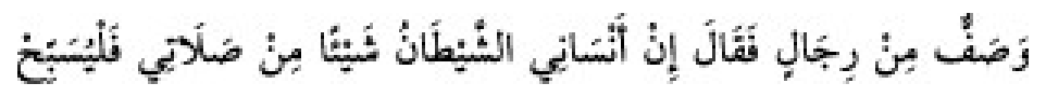 Texto árabe del hadiz de Sunan Abu Dawud