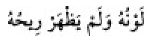 Texto árabe del hadiz de Sunan Abu Dawud