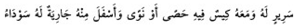 Texto árabe del hadiz de Sunan Abu Dawud