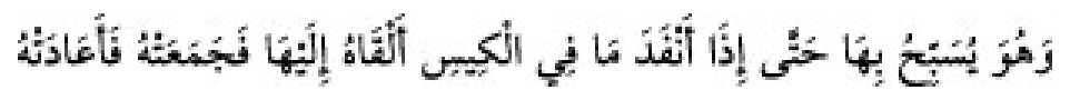 Texto árabe del hadiz de Sunan Abu Dawud