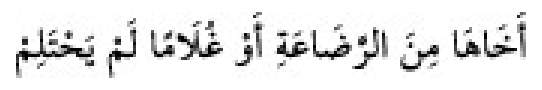 Texto árabe del hadiz de Sunan Abu Dawud