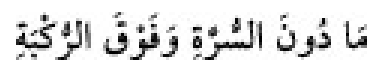 Texto árabe del hadiz de Sunan Abu Dawud
