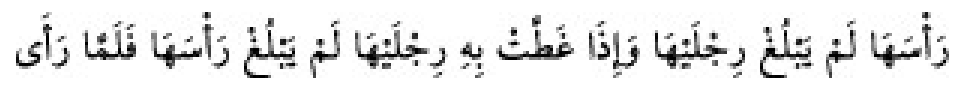 Texto árabe del hadiz de Sunan Abu Dawud