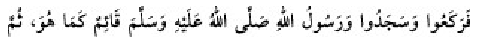 Texto árabe del hadiz de Sunan Abu Dawud