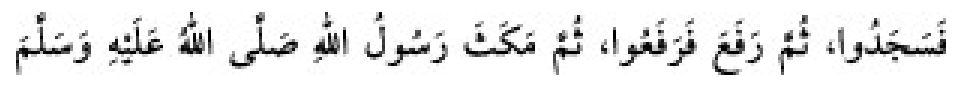 Texto árabe del hadiz de Sunan Abu Dawud