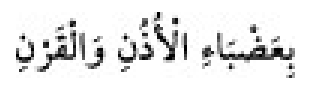 Sünen-i Ebû Dâvûd Arapça hadis metni