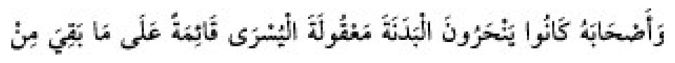 Texto árabe del hadiz de Sunan Abu Dawud