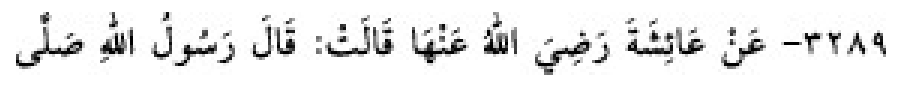 Texto árabe del hadiz de Sunan Abū Dāwūd
