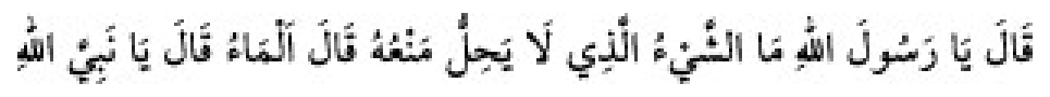 Texto árabe del hadiz de Sunan Abū Dāwūd