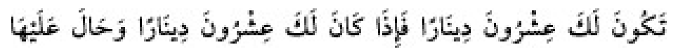 Texto árabe del hadiz de Sunan Abu Dawud