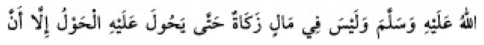 Texto árabe del hadiz de Sunan Abu Dawud